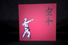Couverture-Karate